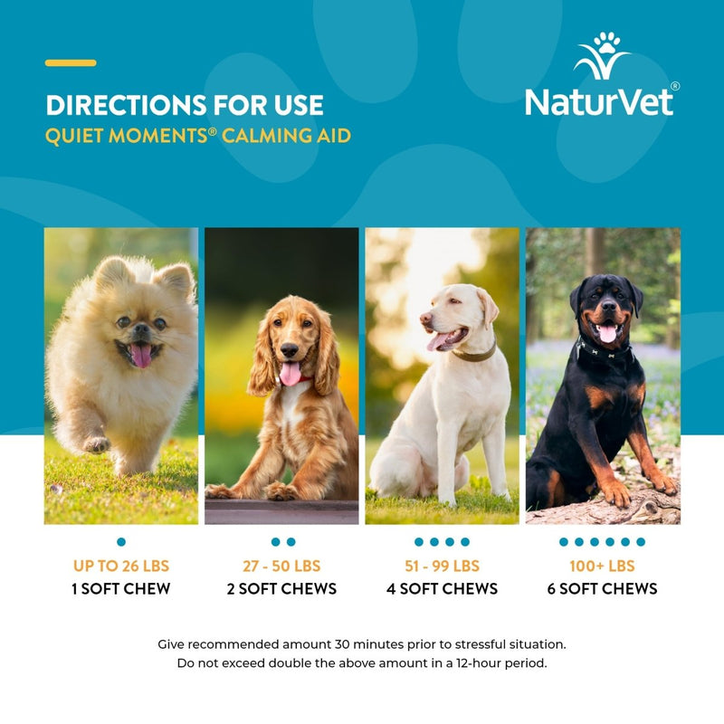 NaturVet Quiet Moments Calming Aid Dog Supplement – Helps Promote Relaxation - Reduce Stress - Storm Anxiety - Motion Sickness for Dogs – Tasty Pet Soft Chews with Melatonin – 70 Ct. - dog supplement - 797801036955