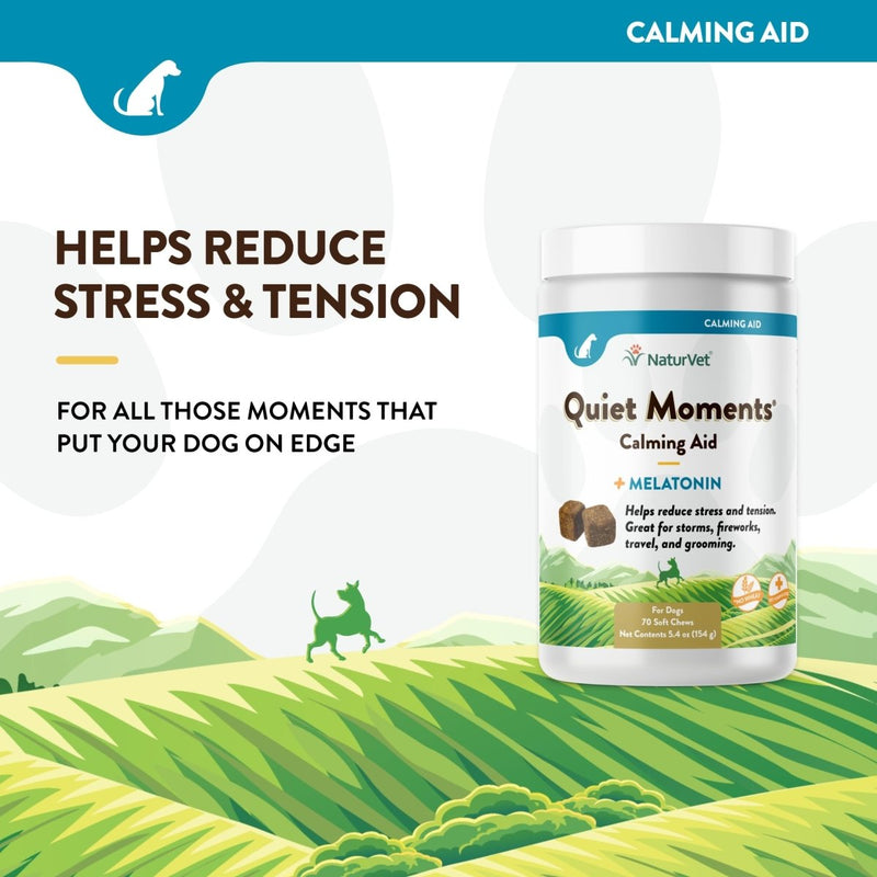 NaturVet Quiet Moments Calming Aid Dog Supplement – Helps Promote Relaxation - Reduce Stress - Storm Anxiety - Motion Sickness for Dogs – Tasty Pet Soft Chews with Melatonin – 70 Ct. - dog supplement - 797801036955