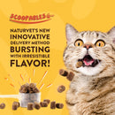 NaturVet Scoopables Hairball Aid for Cats - Helps Prevent & Eliminate Hairballs - Psyllium Husk & Pumpkin - Salmon Flavored Cat Health Supplement - 5.5oz Bag - Supplies - 797801605380