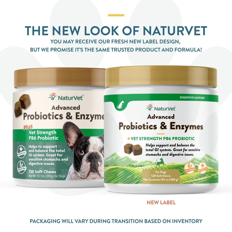 NaturVet Veterinarian Strength Advanced Probiotics - Healthy Enzymes and PB6 Probiotic Supplement For Your Dogs Stomach - Intestine - Digestion and GI Tract health - 120 Soft Chews