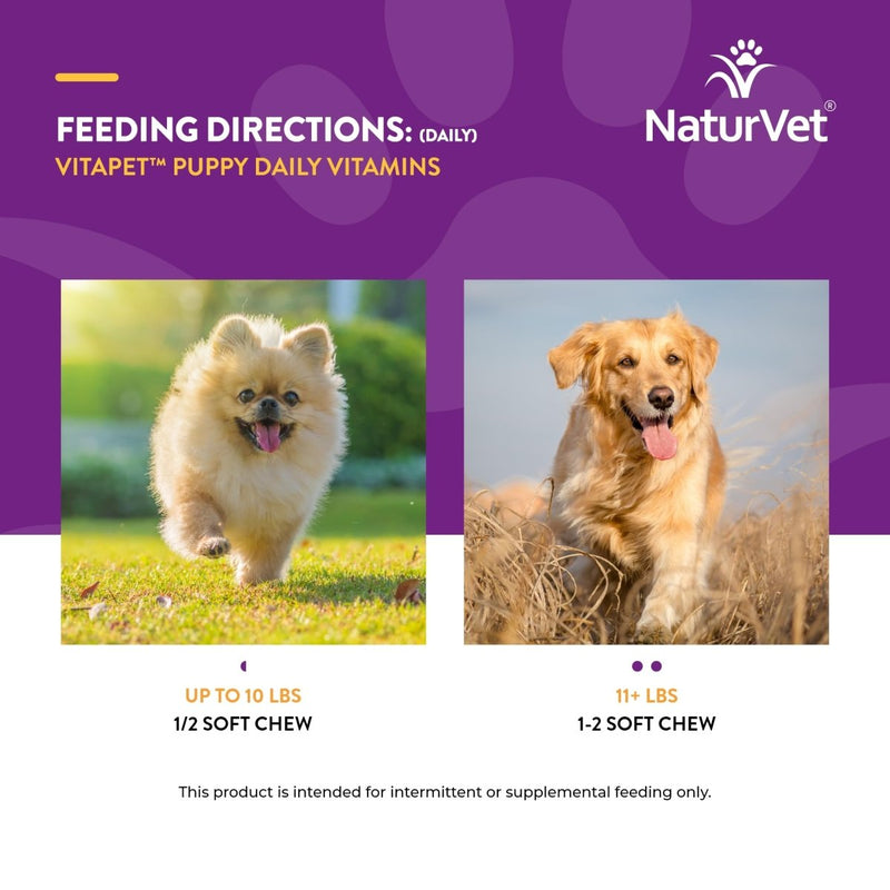 NaturVet VitaPet Puppy Daily Vitamins for Dogs – Plus Breath Aid – Formulated to Provide Puppies with Essential Vitamins - Minerals - Amino Acids & Fatty Acids - 70 Soft Chews