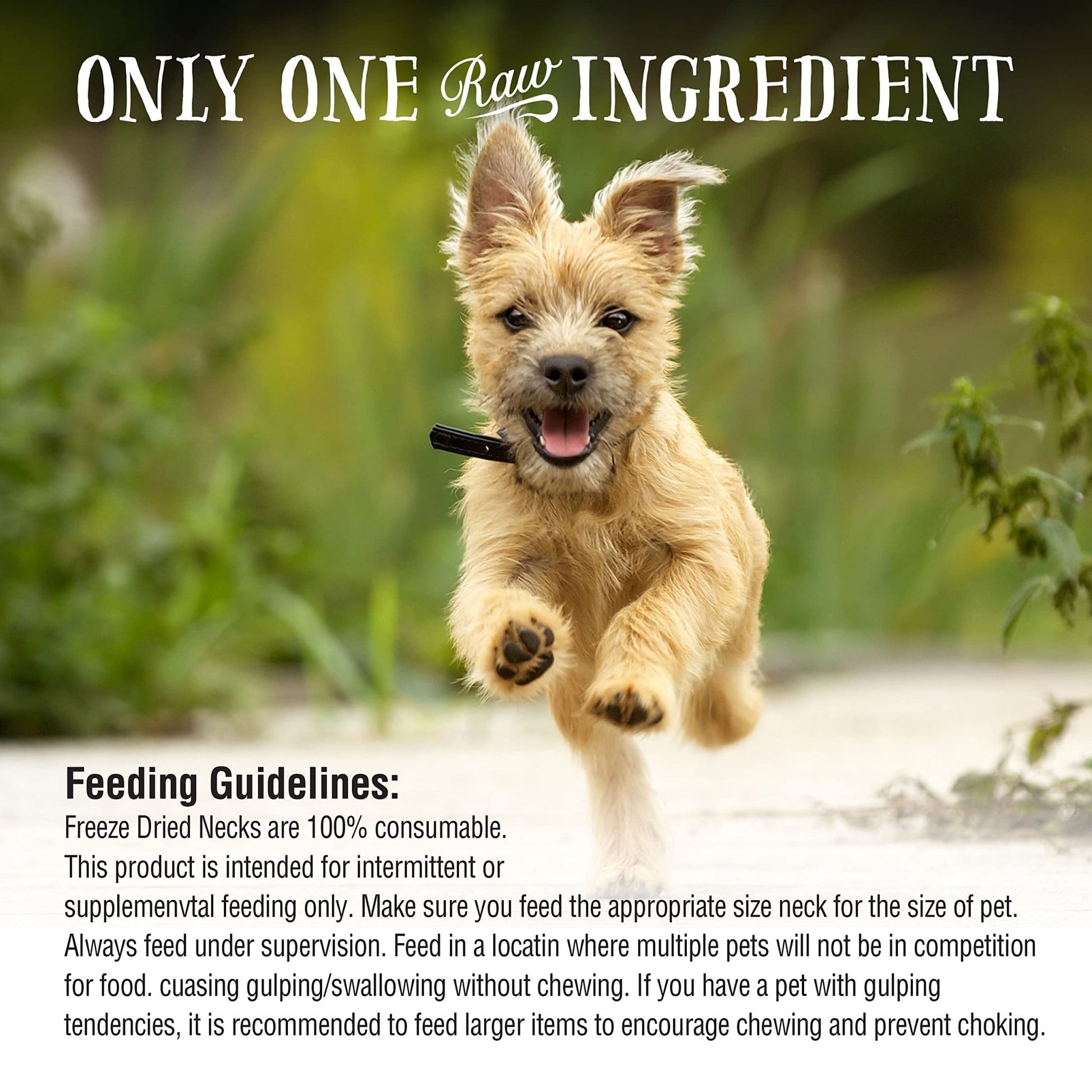 Northwest Naturals Raw Rewards Freeze - Dried Chicken Neck Treats For Dogs And Cats - Whole Neck - Healthy, 1 Ingredient, Human Grade Pet Food, All Natural - 4 Oz