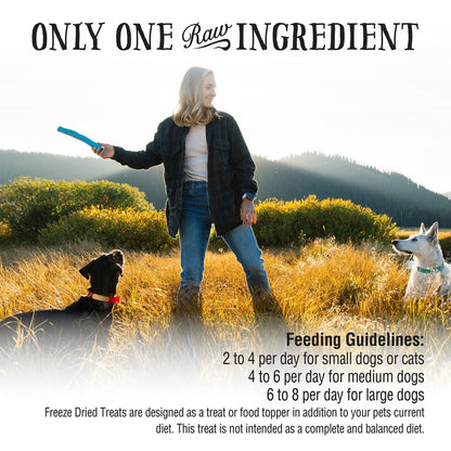 Northwest Naturals Raw Rewards Freeze - Dried Pork Heart Treats - 3 oz