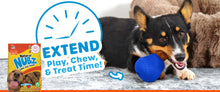 Nubz treat and chew drum stick treat toy