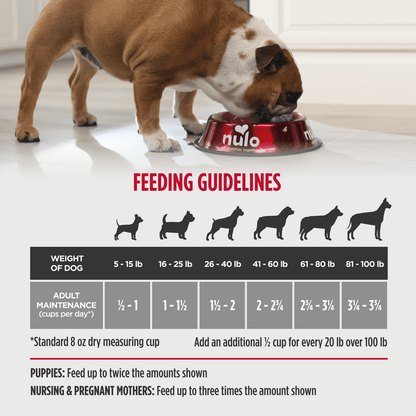 Nulo challenger game bird quarry puppy & adult duck, turkey & Guinea fowl recipe dry dog food kibble 4lbs