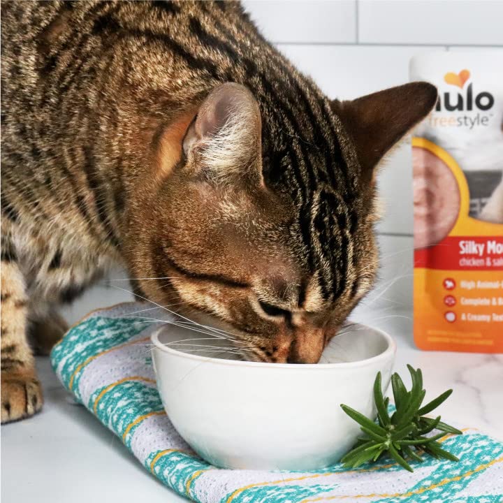 Nulo Freestyle Wet Cat Food Silky Mousse - Chicken & Salmon Recipe - Nutrition For Cat - 2.8 oz