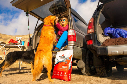 Nulo Frontrunner Dry Dog Food for Adult Dogs - Grain - Inclusive Beef, Barley & Lamb Recipe - High Taurine for Lean Muscles 23lb
