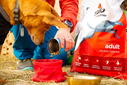 Nulo Frontrunner Dry Dog Food for Adult Dogs - Grain Inclusive Turkey & Trout Recipe with High Taurine Levels - 23 lb Bag