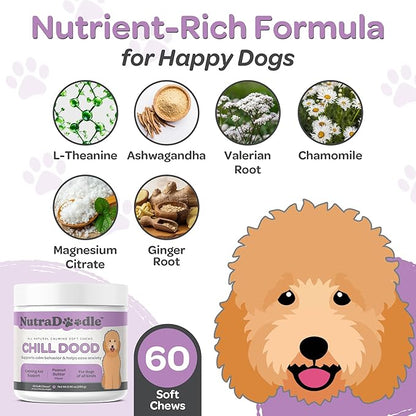 Nutradoodle all natural calming soft chews - chill dude