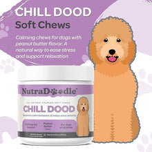 Nutradoodle all natural calming soft chews - chill dude