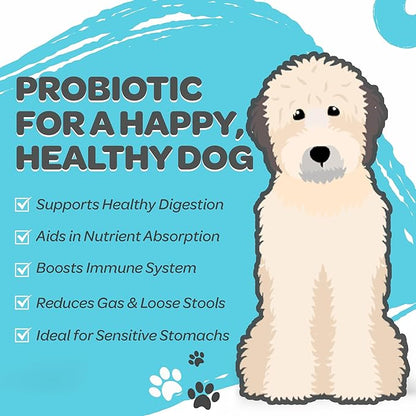 Nutradoodle all natural probiotic soft chews - regular dood