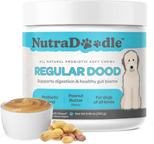 Nutradoodle all natural probiotic soft chews - regular dood