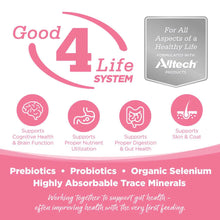 NUtri source pure vita small bites salmon and peas entree 4 lb