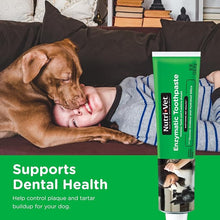 Nutri vet enzymatic toothpaste