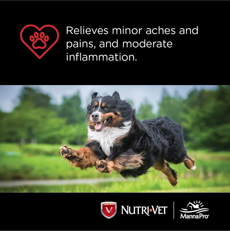 Nutri - Vet K9 Dog Aspirin for Small Dogs - 100ct