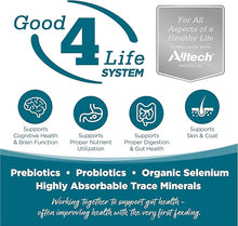 Nutrisource chicken & rice recipe dry dog food kibble 4lb bag