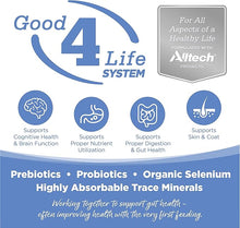 Nutrisource pure vita Turkey & sweet potato dog food kibble 4lbs