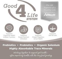 Nutrisource senior recipe grain free Turkey meal dry dog kibble 4lbs