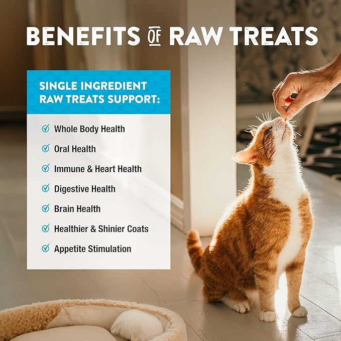 NWN Northwestnaturals freeze dried minnows dog cat treats 1oz