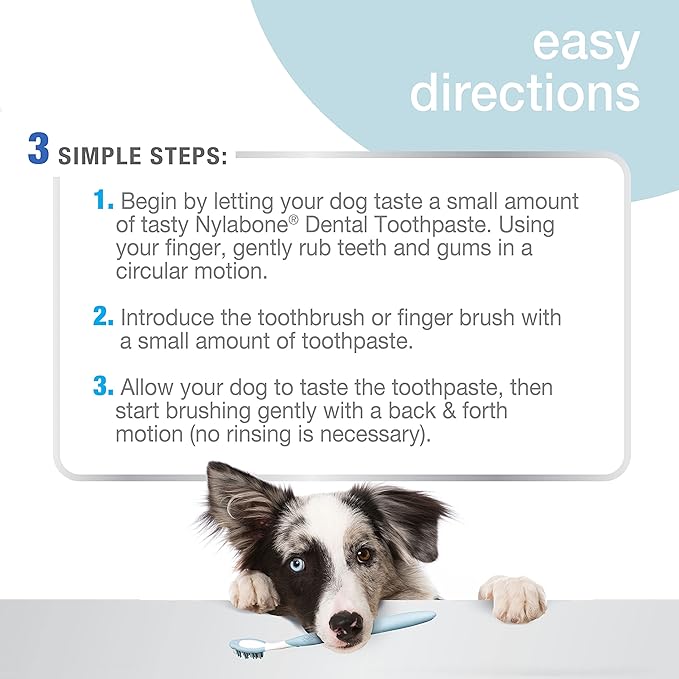 Nylabone Advanced Oral Care Tartar Control Original Flavor Dog Toothpaste, 2.5 - oz tube