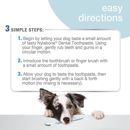 Nylabone Advanced Oral Care Tartar Control Original Flavor Dog Toothpaste, 2.5 - oz tube