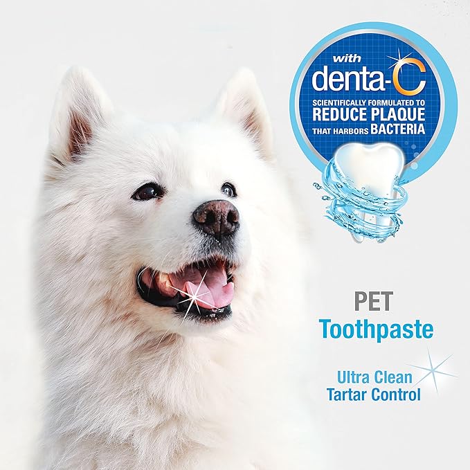 Nylabone Advanced Oral Care Tartar Control Original Flavor Dog Toothpaste, 2.5 - oz tube