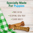 Nylabone Healthy Edibles Natural Puppy Treats Variety Pack - Puppy Supplies - Roast Beef, Bacon, Turkey & Apple Flavors, X - Small/Petite (3 Count)