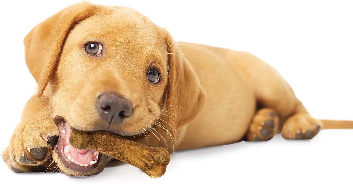 Nylabone healthy edibles puppy chew treats Turkey & sweet potato flavor 3.1oz 4ct