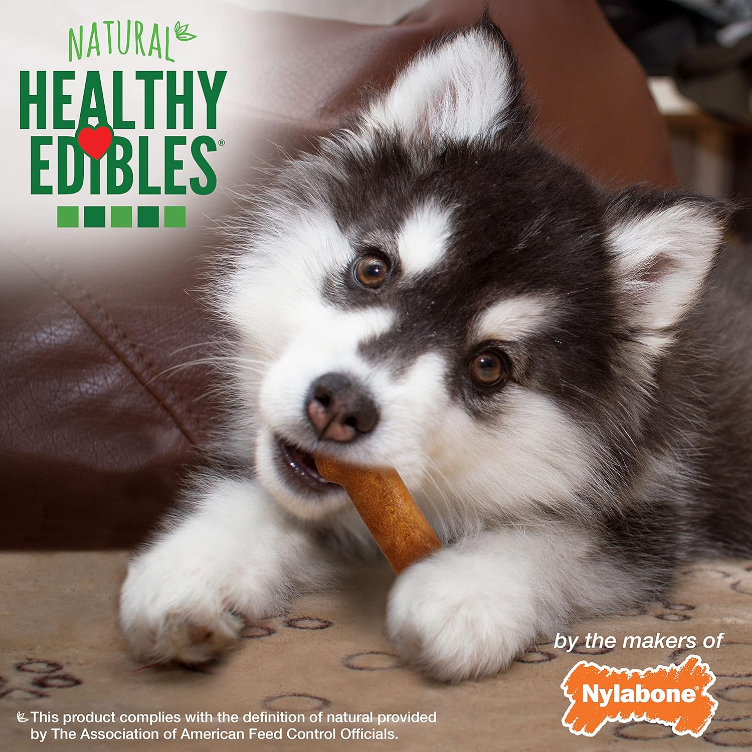 Nylabone healthy edibles puppy chew treats Turkey & sweet potato flavor 3.1oz 4ct