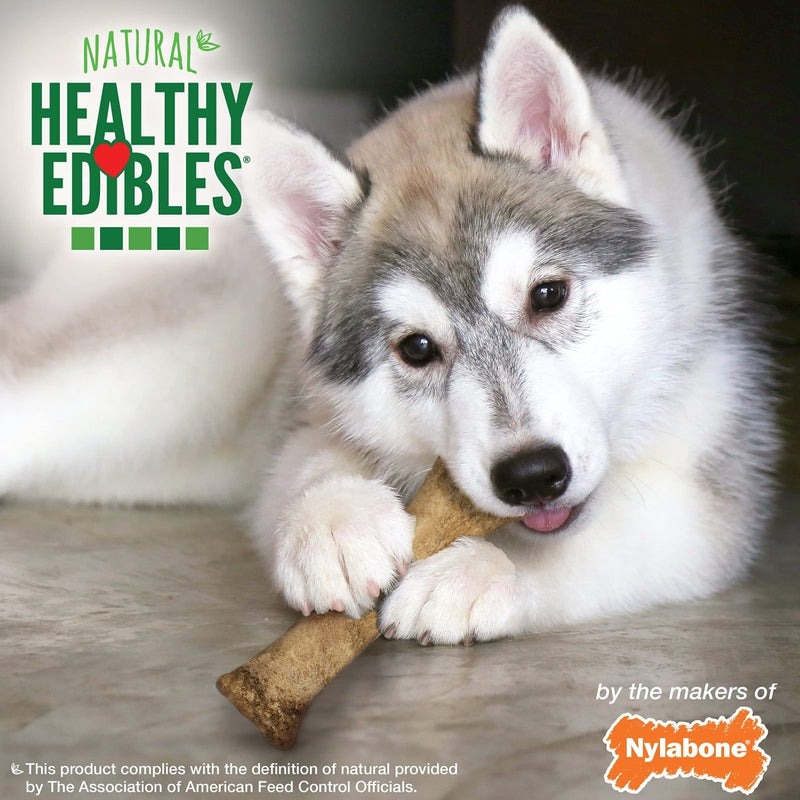 Nylabone Healthy Edibles Puppy Natural Long Lasting Dog Chew Treats Lamb & Apple X - Large/Souper (1 Count)