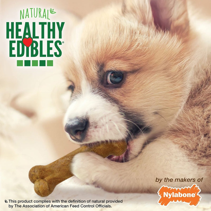 Nylabone Healthy Edibles Puppy Natural Long Lasting Dog Chew Treats Lamb & Apple X - Small/Petite (8 Count) , 6.2 Ounce (Pack of 1)