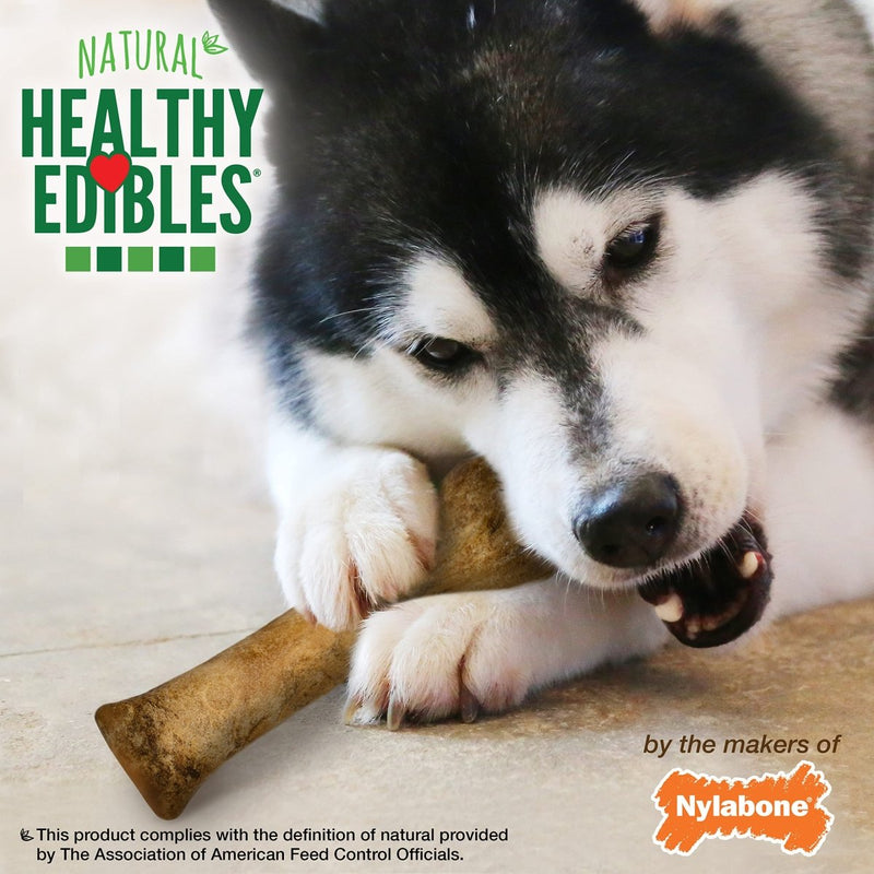 Nylabone Healthy Edibles Roast Beef Flavor Chew Treats for Dog (Pack of 2) X - Large/Souper