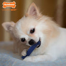 Nylabone Moderate Chew FlexiChew Dental Chew Toy Chicken Flavor X - Small/Petite - Up to 15 lbs.