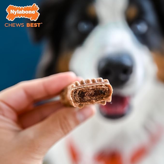 Nylabone natural healthy edibles beef meaty center 3.6oz 2 medium