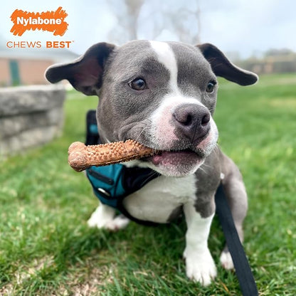 Nylabone natural healthy edibles meaty center beef 3.3oz treat 4 small
