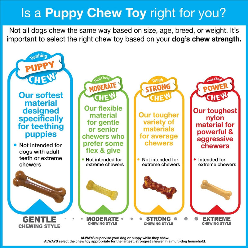 Nylabone Puppy Chew Keys Toy - Puppy Chew Toys for Teething - Puppy Supplies - Bacon Flavor, Small