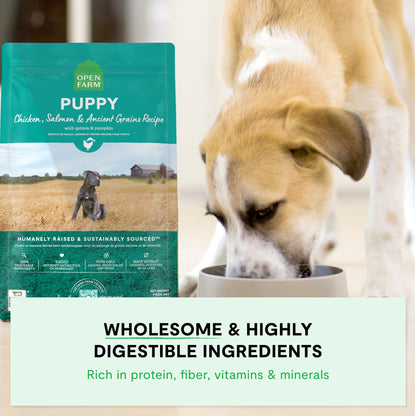 Open Farm, Ancient Grains Dry Dog Food for Puppies, Protein - Rich & Nutrient Dense, 90% Animal Protein Mixed with Non - GMO Fruits, Veggies and Superfoods, Chicken & Salmon Recipe for Puppy, 4lb Bag