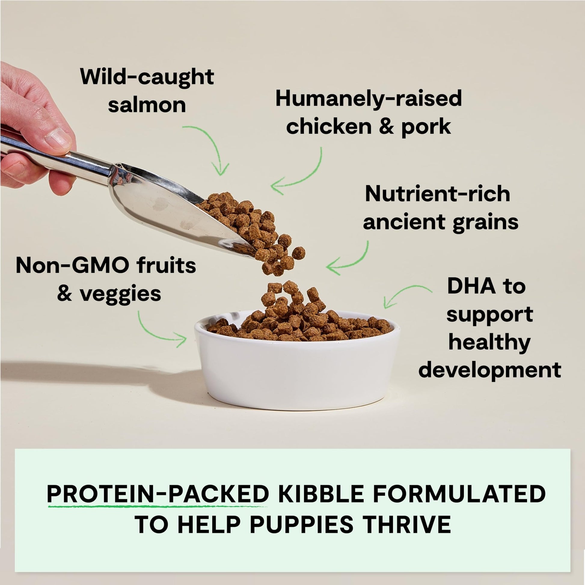 Open Farm, Ancient Grains Dry Dog Food for Puppies, Protein - Rich & Nutrient Dense, 90% Animal Protein Mixed with Non - GMO Fruits, Veggies and Superfoods, Chicken & Salmon Recipe for Puppy, 4lb Bag