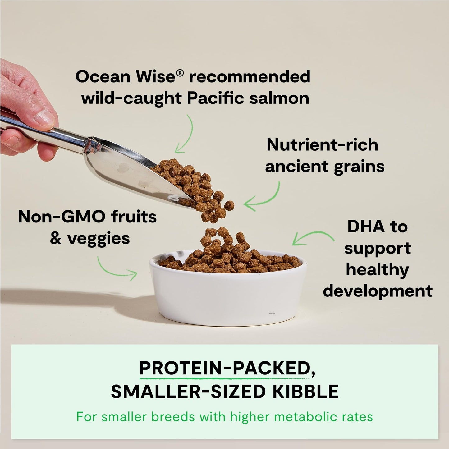 Open Farm, Ancient Grains Dry Dog Food for Puppies, Protein - Rich & Nutrient Dense, 90% Animal Protein Mixed with Non - GMO Fruits, Veggies and Superfoods, Salmon Recipe for Puppy, 4lb Bag