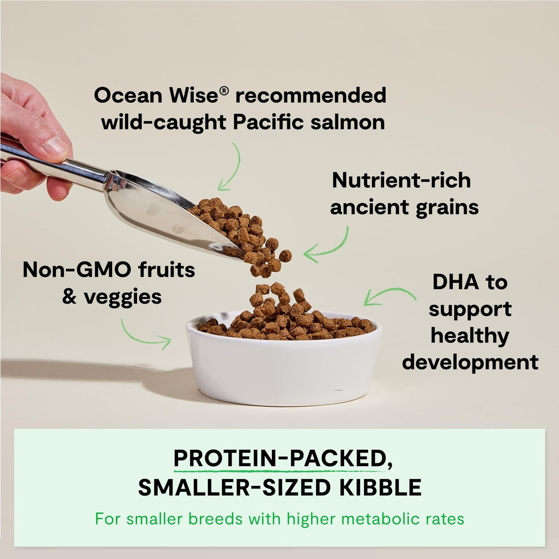 Open Farm, Ancient Grains Dry Dog Food for Puppies, Protein - Rich & Nutrient Dense, 90% Animal Protein Mixed with Non - GMO Fruits, Veggies and Superfoods, Salmon Recipe for Puppy, 4lb Bag
