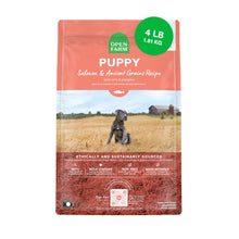 Open Farm, Ancient Grains Dry Dog Food for Puppies, Protein - Rich & Nutrient Dense, 90% Animal Protein Mixed with Non - GMO Fruits, Veggies and Superfoods, Salmon Recipe for Puppy, 4lb Bag