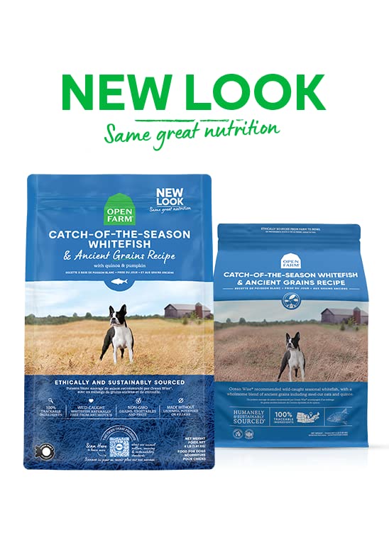 Open Farm Ancient Grains Dry Dog Food, Humanely Raised Meat Recipe with Wholesome Grains and No Artificial Flavors or Preservatives (Catch - of - The - Season Whitefish, 22 Pound