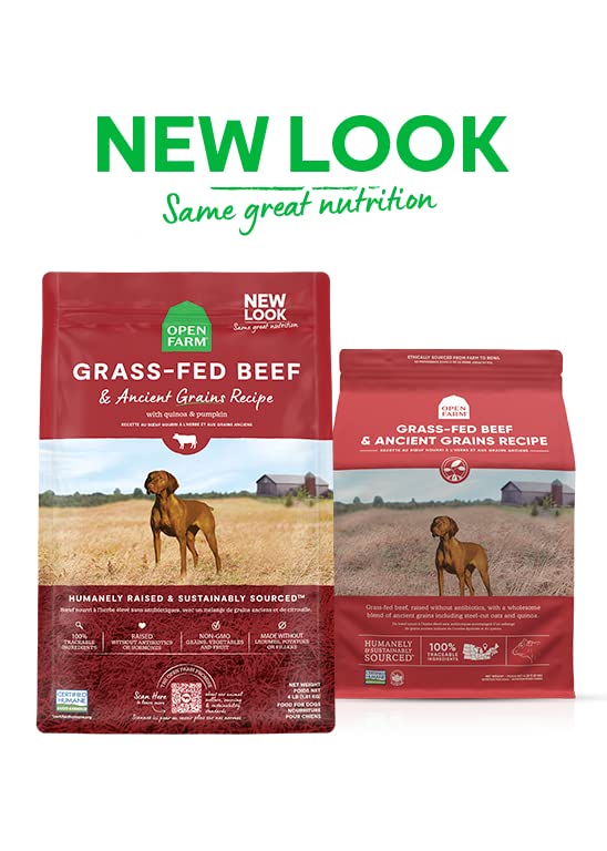 Open Farm Ancient Grains Dry Dog Food, Humanely Raised Meat Recipe with Wholesome Grains and No Artificial Flavors or Preservatives (Grass - Fed Beef Ancient Grain, 11 Pound