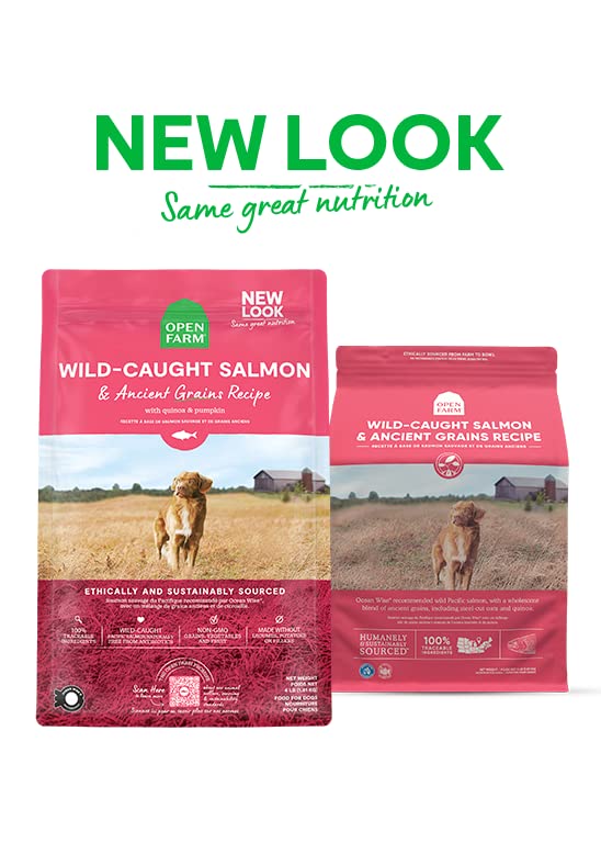 Open Farm Ancient Grains Dry Dog Food – Wild Salmon Ancient Grain Recipe, 11 lb Bag