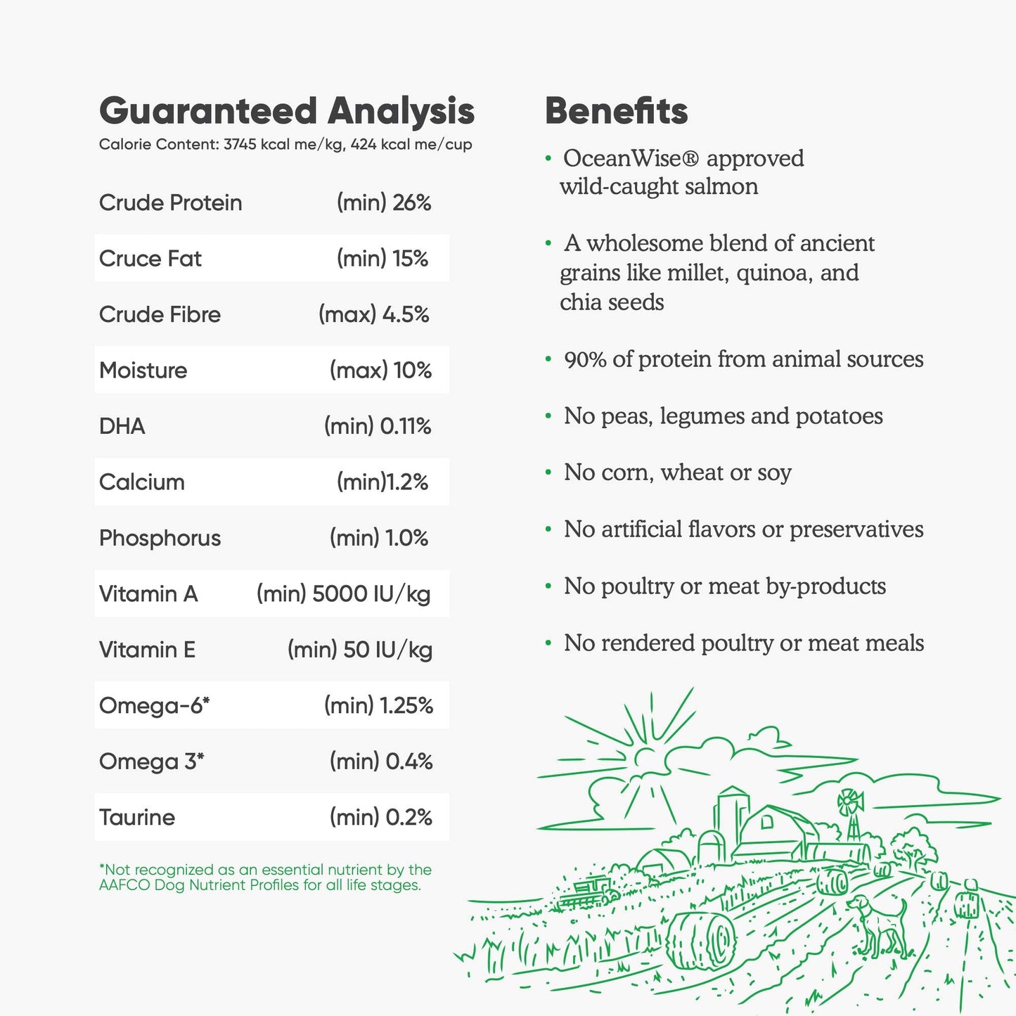Open Farm Ancient Grains Dry Dog Food – Wild Salmon Ancient Grain Recipe, 11 lb Bag