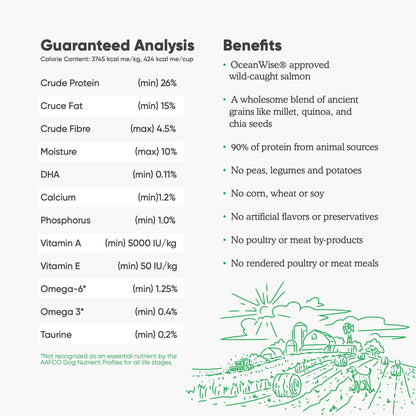 Open Farm Ancient Grains Dry Dog Food – Wild Salmon Ancient Grain Recipe, 11 lb Bag