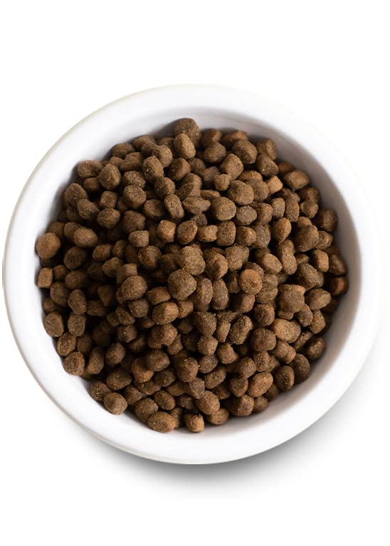 Open Farm Ancient Grains Dry Dog Food – Wild Salmon Ancient Grain Recipe, 11 lb Bag