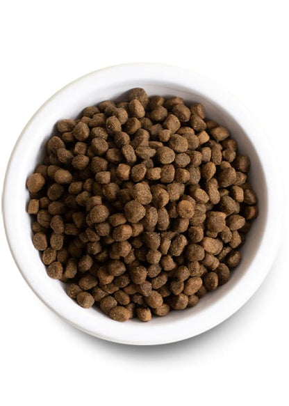 Open Farm Ancient Grains Dry Dog Food – Wild Salmon Ancient Grain Recipe, 11 lb Bag