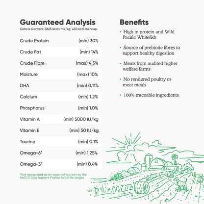 Open Farm Catch - Of - The - Season Whitefish & Ancient Grains Dry Dog Food, 11 lbs – Wild - Caught Whitefish Recipe