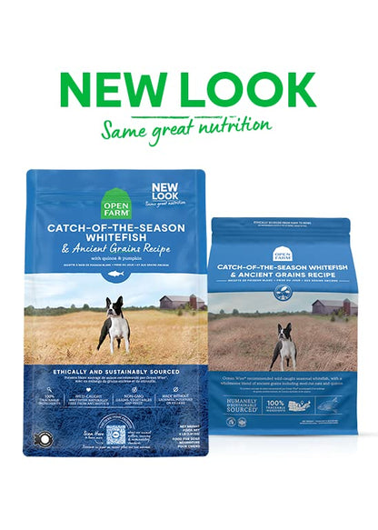 Open Farm Catch - Of - The - Season Whitefish & Ancient Grains Dry Dog Food, 11 lbs – Wild - Caught Whitefish Recipe